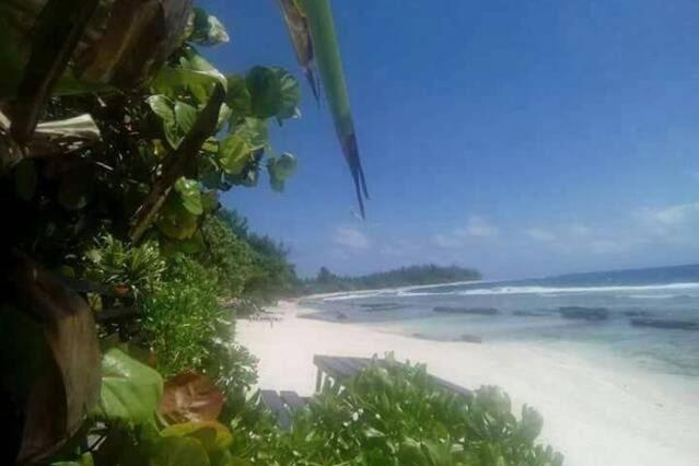 Moorea Temae Bungalow Lory Bord De Mer Extérieur photo